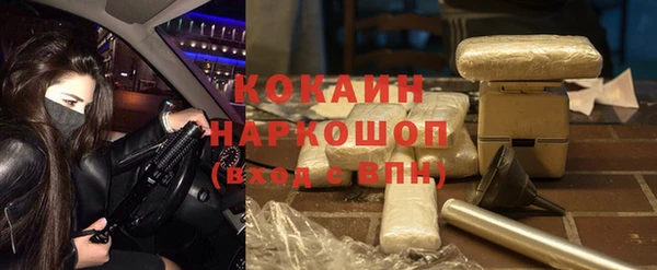 прущие грибы Бугульма