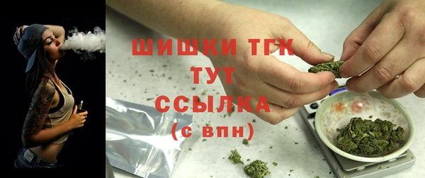 прущие грибы Бугульма