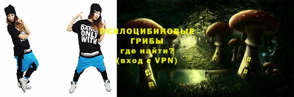 прущие грибы Бугульма