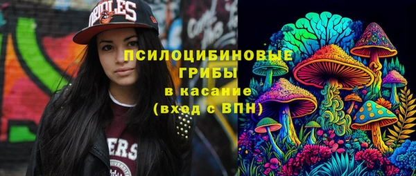 прущие грибы Бугульма