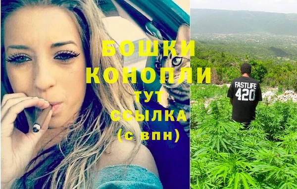 соль ск Бронницы