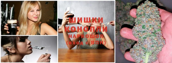 соль ск Бронницы