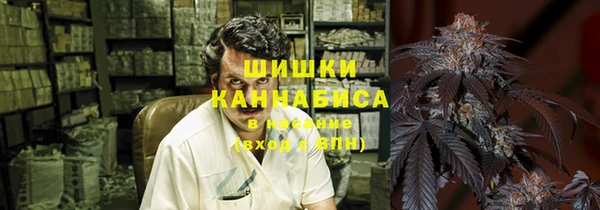 прущие грибы Бугульма